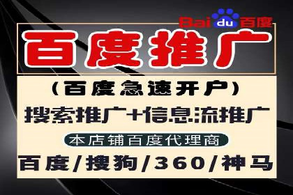 抖音信息流代理在电商行业的应用案例分析